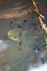 img_2_108