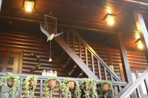 img_2_110