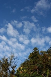 img_2_122